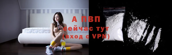 МДПВ Снежинск